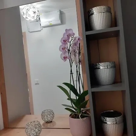 Cirkáló *